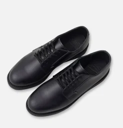 3486 - Carrier Black Chapparal